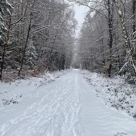 Hunsrueckglueck Am Schinderhannes-radweg Casa de Férias Lingerhahn