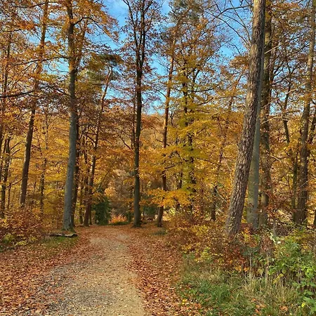 Hunsrueckglueck Am Schinderhannes-radweg Lingerhahn
