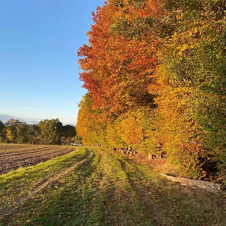 別荘 Hunsrueckglueck Am Schinderhannes-radweg