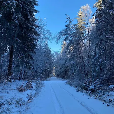 別荘 Hunsrueckglueck Am Schinderhannes-radweg Lingerhahn