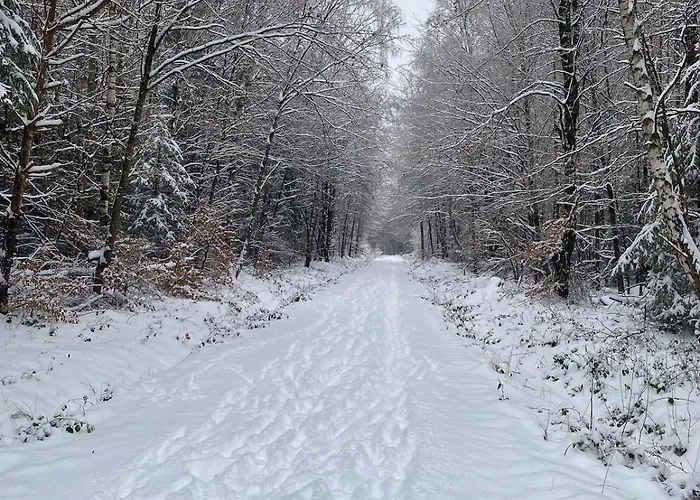 Hunsrueckglueck Am Schinderhannes-radweg Semesterbostad Lingerhahn