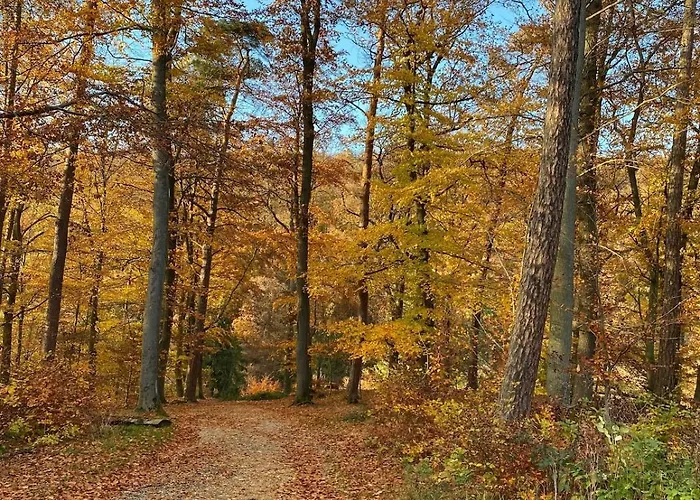 Hunsrueckglueck Am Schinderhannes-radweg Lingerhahn