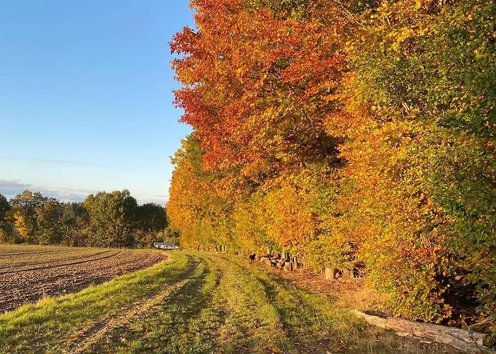 Semesterbostad Hunsrueckglueck Am Schinderhannes-radweg