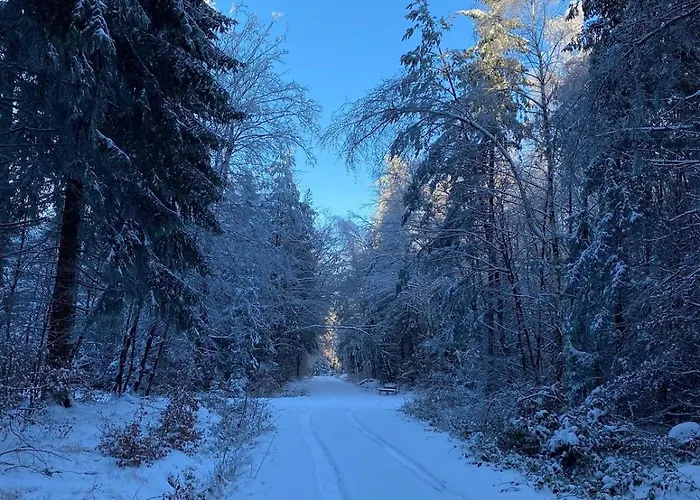 Semesterbostad Hunsrueckglueck Am Schinderhannes-radweg Lingerhahn